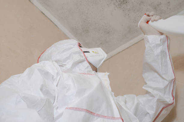 East Rutherford, NJ Mold Remediation Company